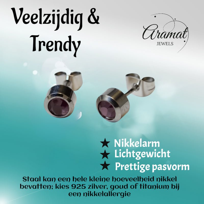 Oorbellen &acirc;&euro;&ldquo; Staal Licht Paarse Kristal (6mm) -