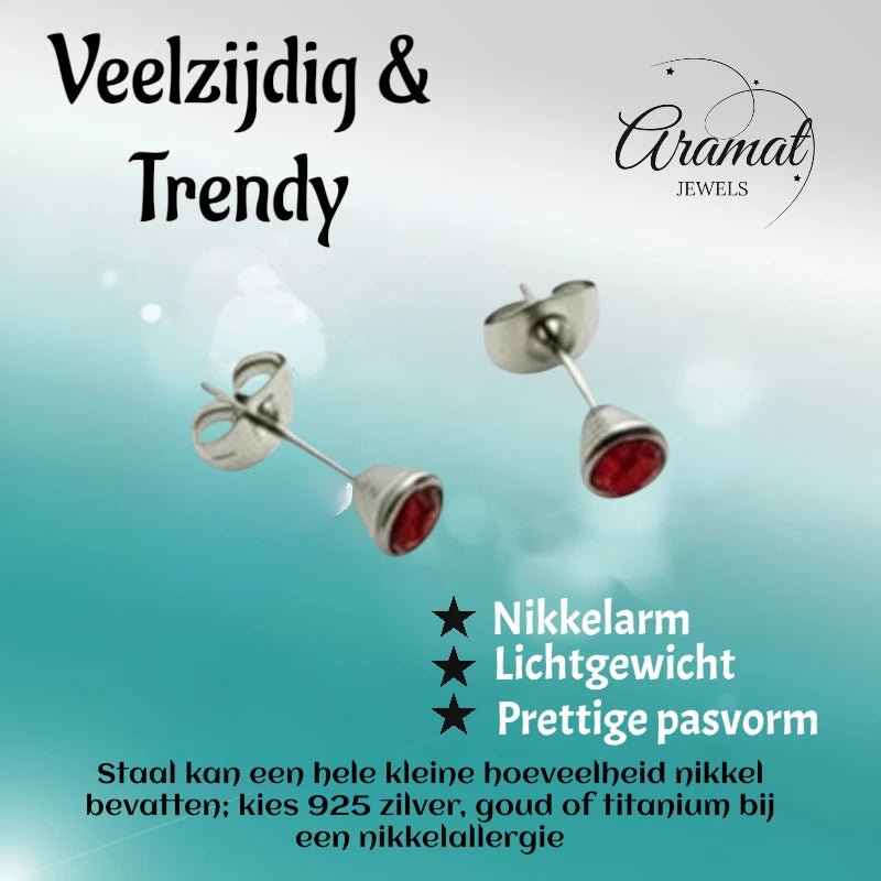 Oorbellen &acirc;&euro;&ldquo; Staal Kristal Rood (5mm) -