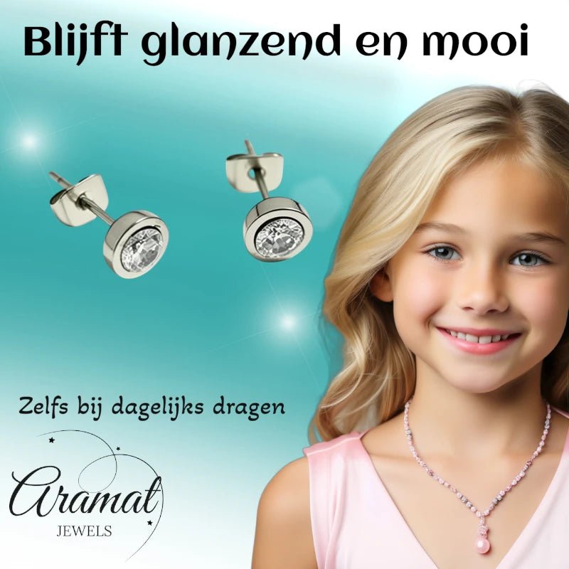 Oorstuds &acirc;&euro;&ldquo; Staal Zirkonia Transparant Zilverkleur (6mm) -
