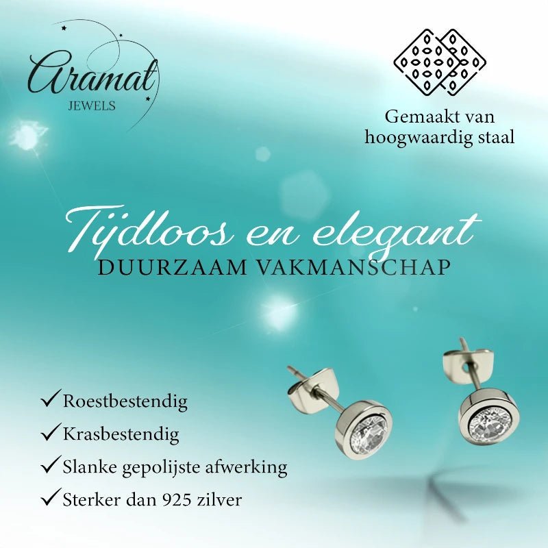 Oorstuds &acirc;&euro;&ldquo; Staal Zirkonia Transparant Zilverkleur (6mm) -