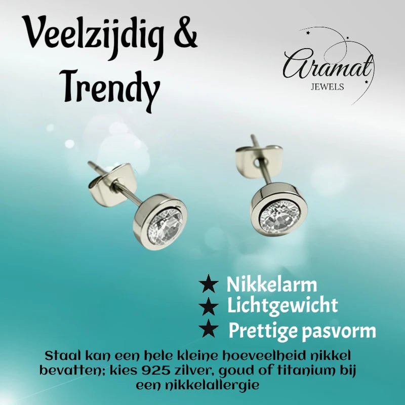Oorstuds &acirc;&euro;&ldquo; Staal Zirkonia Transparant Zilverkleur (6mm) -