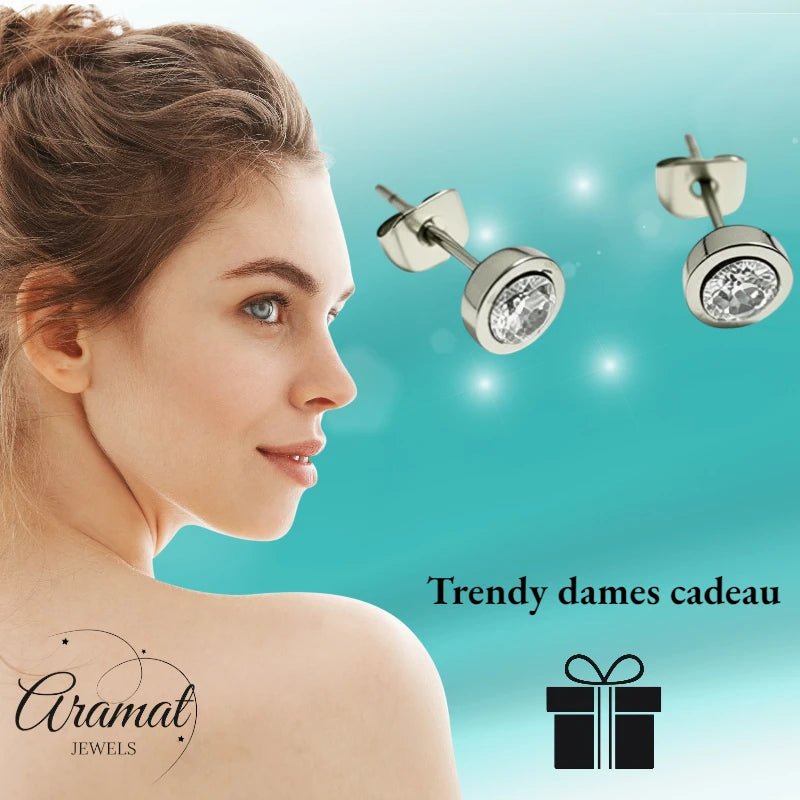 Oorstuds &acirc;&euro;&ldquo; Staal Zirkonia Transparant Zilverkleur (6mm) -