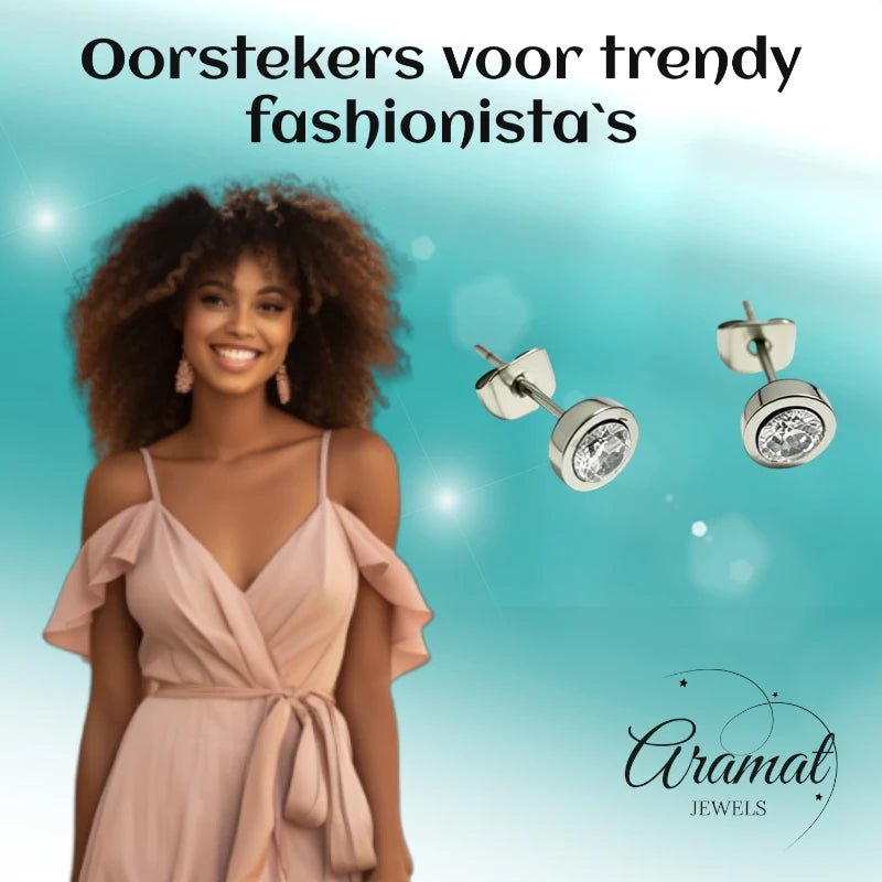 Oorstuds &acirc;&euro;&ldquo; Staal Zirkonia Transparant Zilverkleur (6mm) -