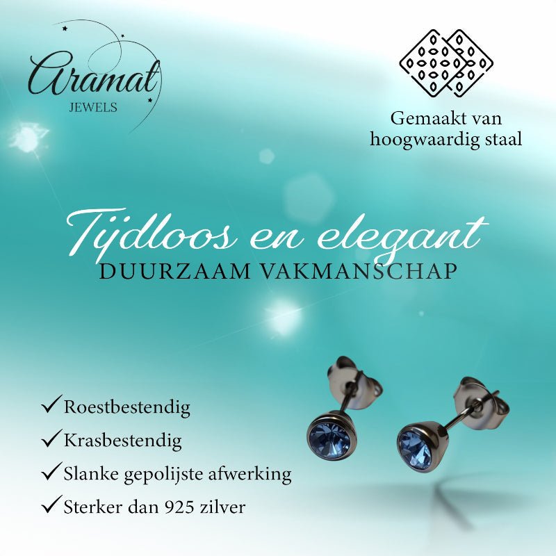 Oorbellen &acirc;&euro;&ldquo; Staal Lila Kristal Zilverkleurig (5mm) -