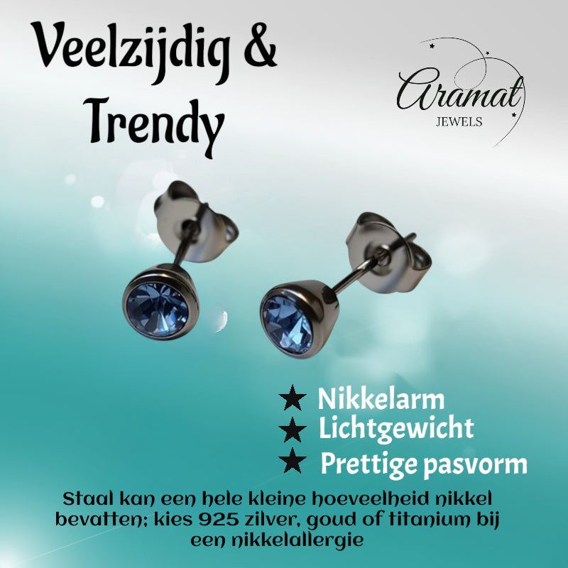 Oorbellen &acirc;&euro;&ldquo; Staal Lila Kristal Zilverkleurig (5mm) -
