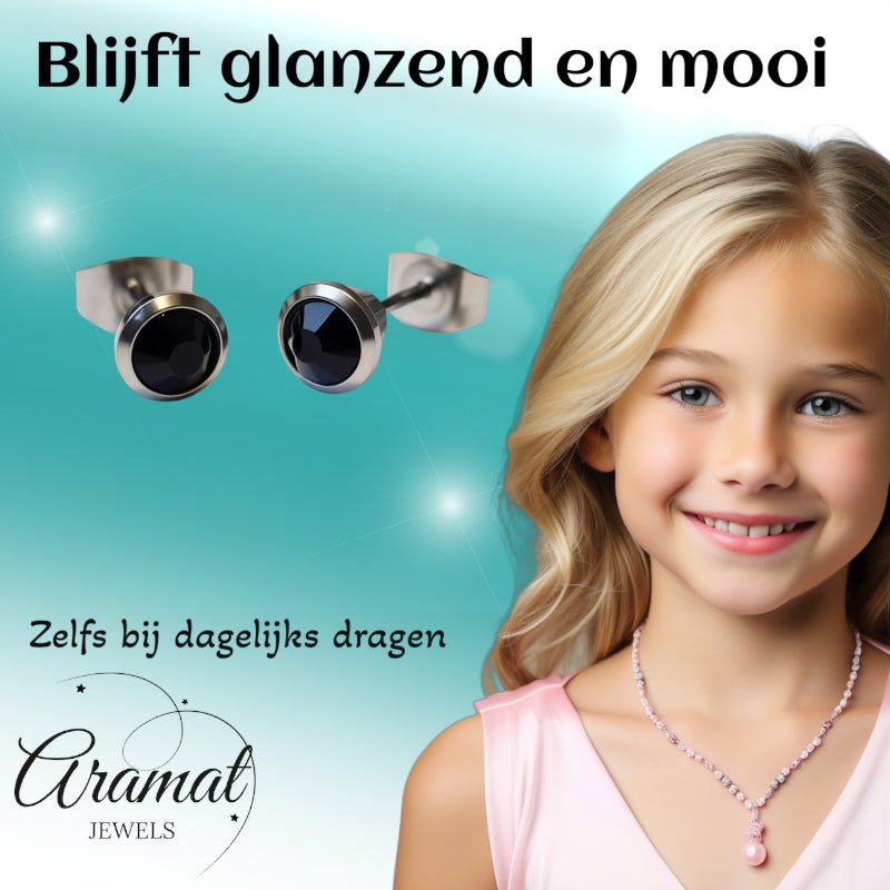 Oorbellen &acirc;&euro;&ldquo; Staal Zwarte Kristal Zilverkleurig (6mm) -