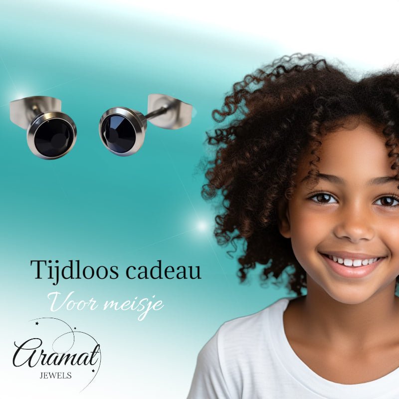 Oorbellen &acirc;&euro;&ldquo; Staal Zwarte Kristal Zilverkleurig (6mm) -