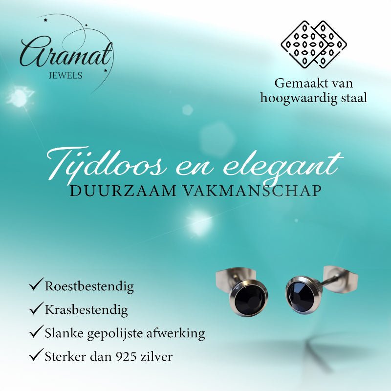Oorbellen &acirc;&euro;&ldquo; Staal Zwarte Kristal Zilverkleurig (6mm) -