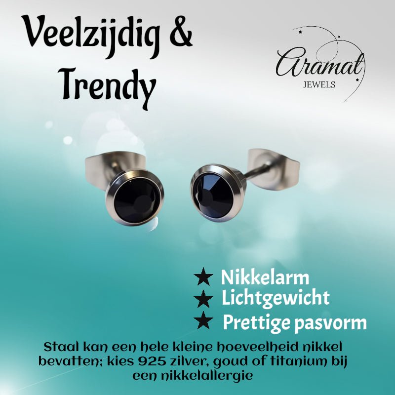 Oorbellen &acirc;&euro;&ldquo; Staal Zwarte Kristal Zilverkleurig (6mm) -