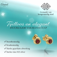 Stalen Rode Zirkonia Hart Oorbellen -