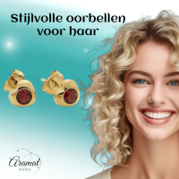 Stalen Rode Zirkonia Hart Oorbellen -