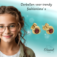 Stalen Rode Zirkonia Hart Oorbellen -