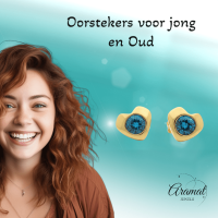 Blauwe Zirkonia Hartjes Oorbellen -