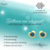 Blauwe Zirkonia Hartjes Oorbellen -