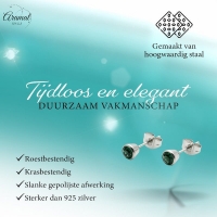 Groene Kristal Stalen Oorbellen -