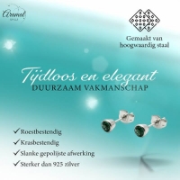Groene Kristal Stalen Oorbellen -