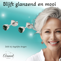 Groene Kristal Stalen Oorbellen -