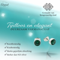 Groene Zirkonia Oorbellen RVS -