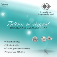 Zirkonia Steen Oorbellen -