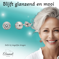 Zirkonia Steen Oorbellen -