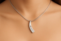 Elegante Gebogen Crematiehanger met Zirkonia &acirc;&euro;&ldquo; Staal Zilverkleurig - Unisex