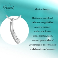 Elegante Gebogen Crematiehanger met Zirkonia &acirc;&euro;&ldquo; Staal Zilverkleurig - Unisex