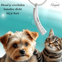 Elegante Gebogen Crematiehanger met Zirkonia &acirc;&euro;&ldquo; Staal Zilverkleurig - Unisex