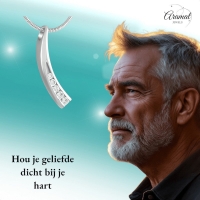 Elegante Gebogen Crematiehanger met Zirkonia &acirc;&euro;&ldquo; Staal Zilverkleurig - Unisex
