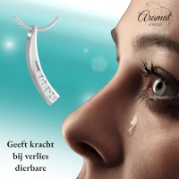 Elegante Gebogen Crematiehanger met Zirkonia &acirc;&euro;&ldquo; Staal Zilverkleurig - Unisex