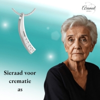 Elegante Gebogen Crematiehanger met Zirkonia &acirc;&euro;&ldquo; Staal Zilverkleurig - Unisex