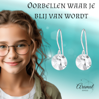 Zilveren Oorhangers - Transparant Kristal - 8mm -