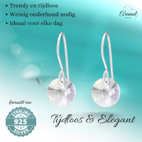 Grijze Kristal Oorhangers Kind - 925 Zilver -