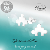 Zilveren Puzzelstuk Oorstuds - 10x7mm - Heren