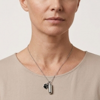 Zilverkleurige Ashanger Buis met Pootje Staal &acirc;&euro;&ldquo; Gedenksieraad RVS - Unisex