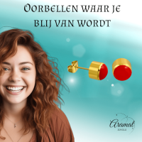 Rode Emaille Oorbellen met Goudkleurige Staal 4mm -