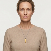 Staaf Ashanger Staal met Zirkonia &acirc;&euro;&ldquo; 4cm Goudkleurig & Zilverkleurig - Unisex