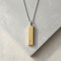 Staaf Ashanger Staal met Zirkonia &acirc;&euro;&ldquo; 4cm Goudkleurig & Zilverkleurig - Unisex