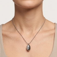 Stalen Ashanger met Transparante Kristallen &acirc;&euro;&ldquo; Elegant Assieraad 3,2cm - Unisex