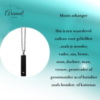 Ashanger Buis Zwart Kristal 316L Staal &acirc;&euro;&ldquo; 4x1cm Inclusief Ketting 50cm - Unisex