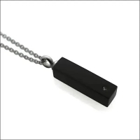 Ashanger Buis Zwart Kristal 316L Staal &acirc;&euro;&ldquo; 4x1cm Inclusief Ketting 50cm - Unisex