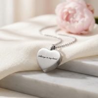 Ashanger Hart Always in My Heart RVS &acirc;&euro;&ldquo; 2,5x2cm Inclusief Ketting 50cm - Unisex