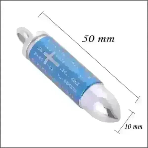 Ashanger Bullet Kogel RVS &acirc;&euro;&ldquo; Meerdere Kleuren & Modellen Stoer Gedenksieraad -