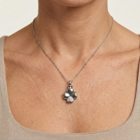 Ashanger Klavertje Vier Zirkonia RVS &acirc;&euro;&ldquo; 30x20mm Zilver Gedenksieraad - Unisex