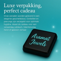 Ashanger Kegel 316L Staal Zwart & Zilver &acirc;&euro;&ldquo; 4cm Inclusief Ketting Gedenksieraa