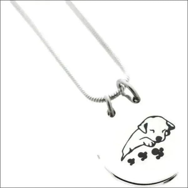 Ashanger Hond 316L Staal Zilver & Zwart &acirc;&euro;&ldquo; 2,5cm Inclusief Ketting 50cm - Unis
