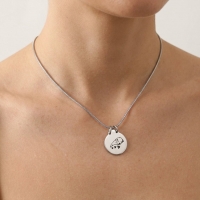 Ashanger Hond 316L Staal Zilver & Zwart &acirc;&euro;&ldquo; 2,5cm Inclusief Ketting 50cm - Unis