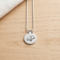 Ashanger Hond 316L Staal Zilver & Zwart &acirc;&euro;&ldquo; 2,5cm Inclusief Ketting 50cm - Unis