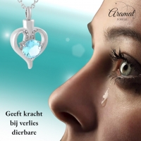 Elegante Stalen Ashanger met Blauwe Zirkonia &acirc;&euro;&ldquo; Zilverkleurig Gedenksieraad - Unis
