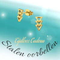 Stalen Pijltjes Oorstekers Goudkleur &acirc;&euro;&ldquo; 9x5mm RVS Nikkelarm -
