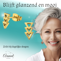 Stalen Pijltjes Oorstekers Goudkleur &acirc;&euro;&ldquo; 9x5mm RVS Nikkelarm -